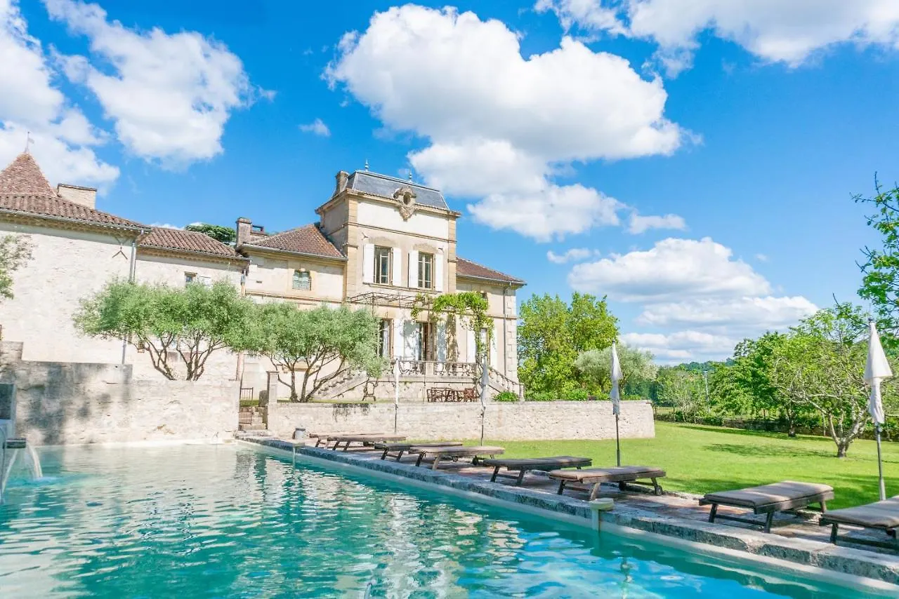 Stunning Castle South Francep Villa Montjoi